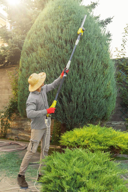 Best Lawn Watering Services  in Waverly, VA